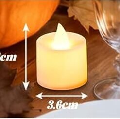 61bB3pFaUXL. AC SX679 1